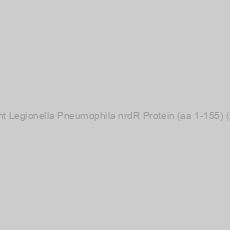 Image of Recombinant Legionella Pneumophila nrdR Protein (aa 1-155) (strain Paris)